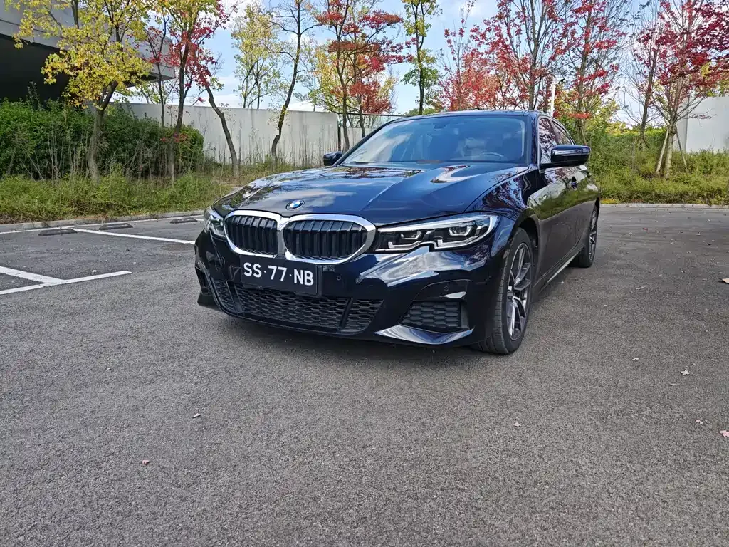 BMW 3 Series 2021 из CN, фото 1