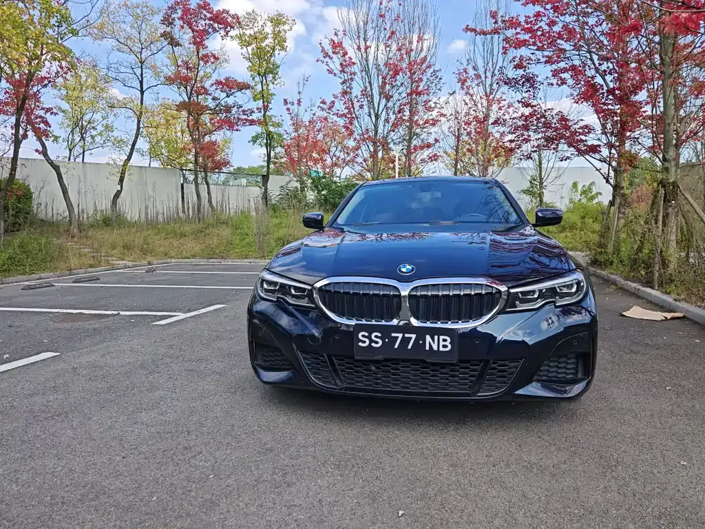BMW 3 Series 2021 из CN, фото 2