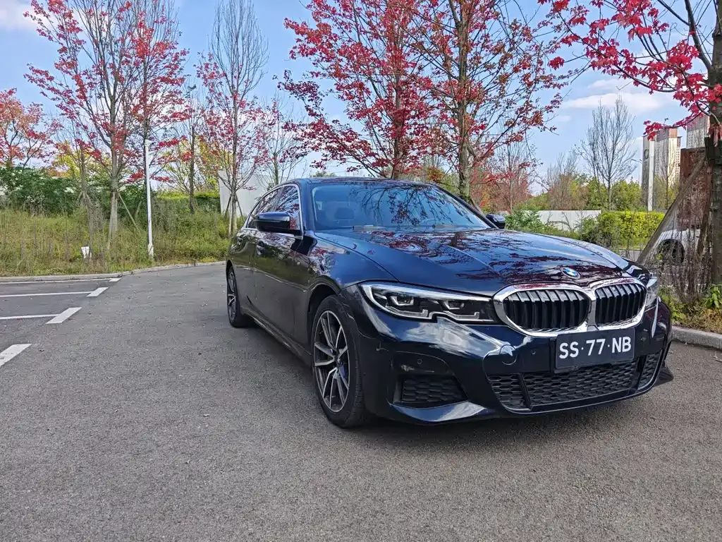 BMW 3 Series 2021 из CN, фото 3