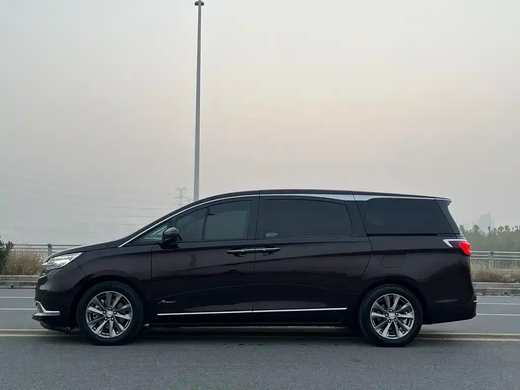 Buick GL8 2021 из CN, фото 5