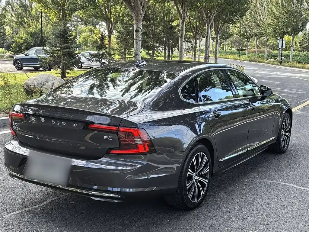 Volvo S90 2021 из CN, фото 10