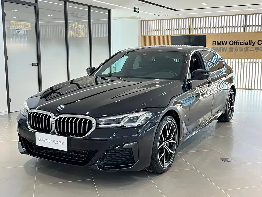 BMW 5 Series 2022 из CN, фото 1