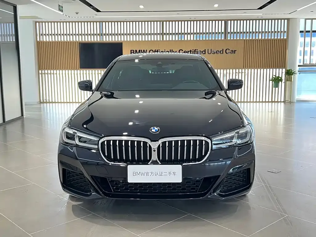 BMW 5 Series 2022 из CN, фото 2