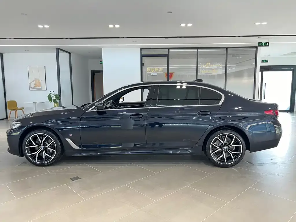 BMW 5 Series 2022 из CN, фото 4