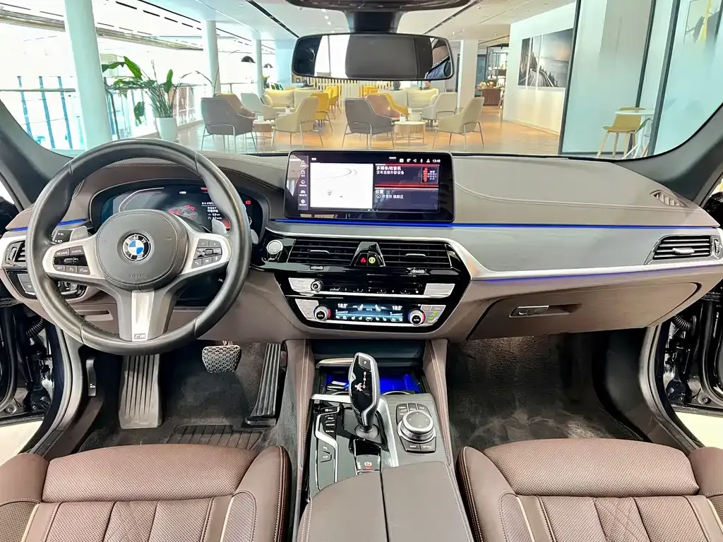 BMW 5 Series 2022 из CN, фото 8