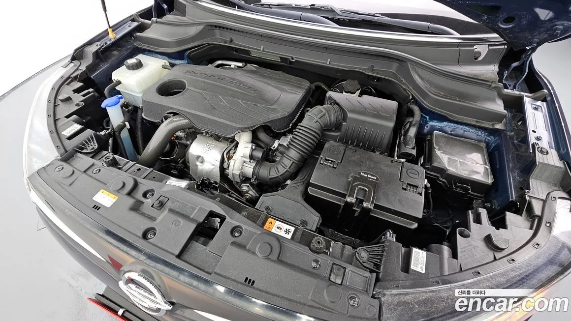 [object Object] TIBOLI 2023 из KR, фото 6