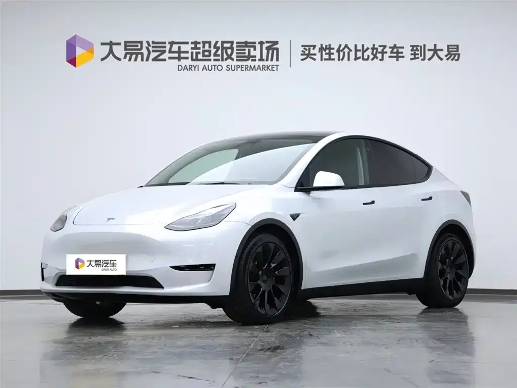 Tesla Model Y 2021 из CN, фото 1