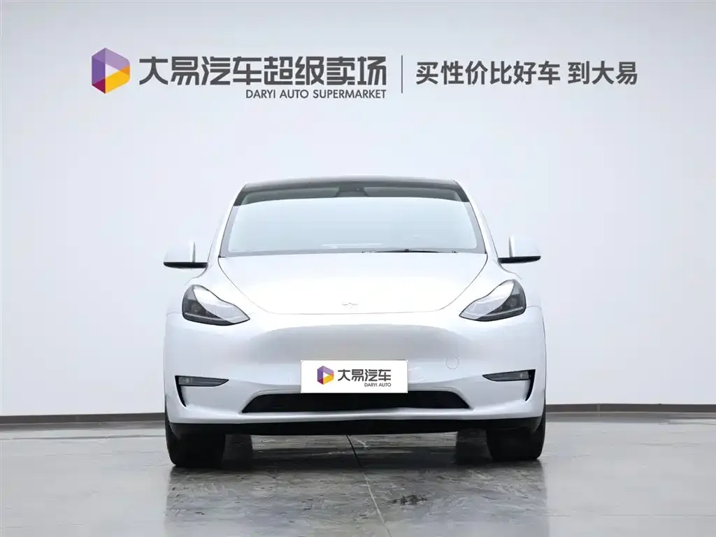 Tesla Model Y 2021 из CN, фото 2