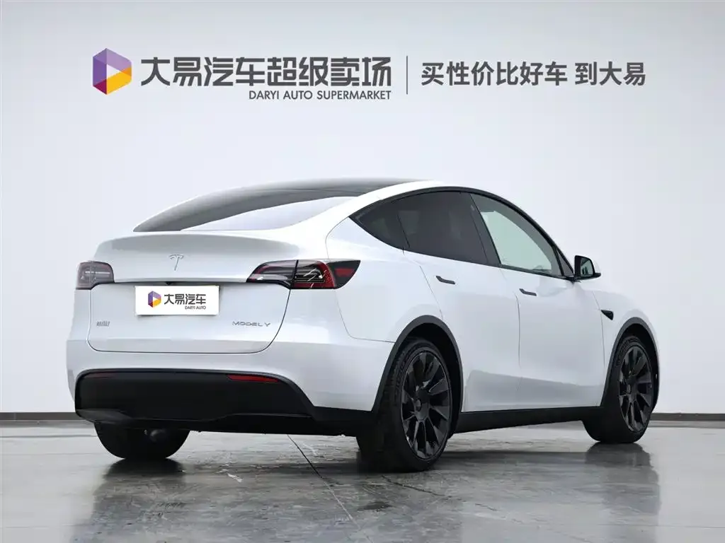 Tesla Model Y 2021 из CN, фото 3
