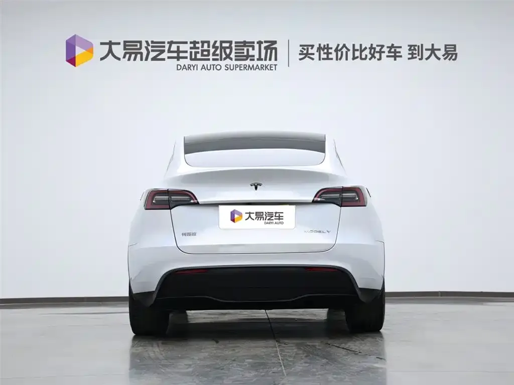 Tesla Model Y 2021 из CN, фото 4