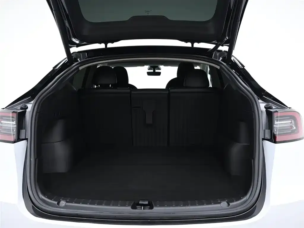 Tesla Model Y 2021 из CN, фото 6