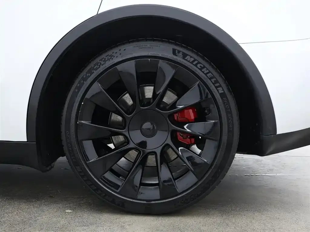 Tesla Model Y 2021 из CN, фото 7
