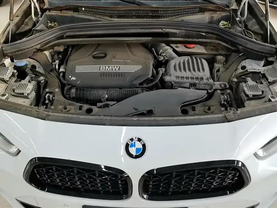 BMW X2 2023 из CN, фото 10
