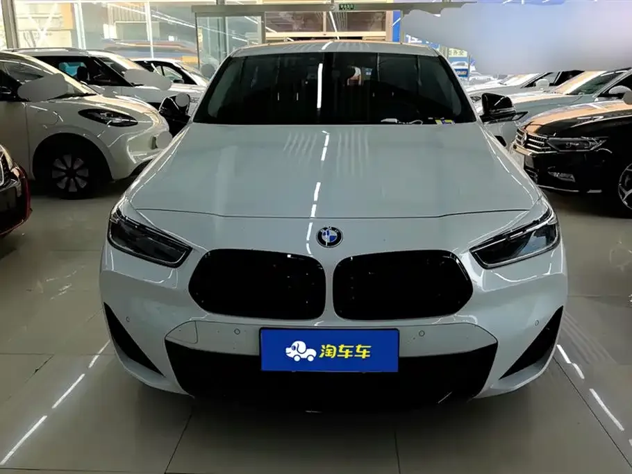 BMW X2 2023 из CN, фото 2