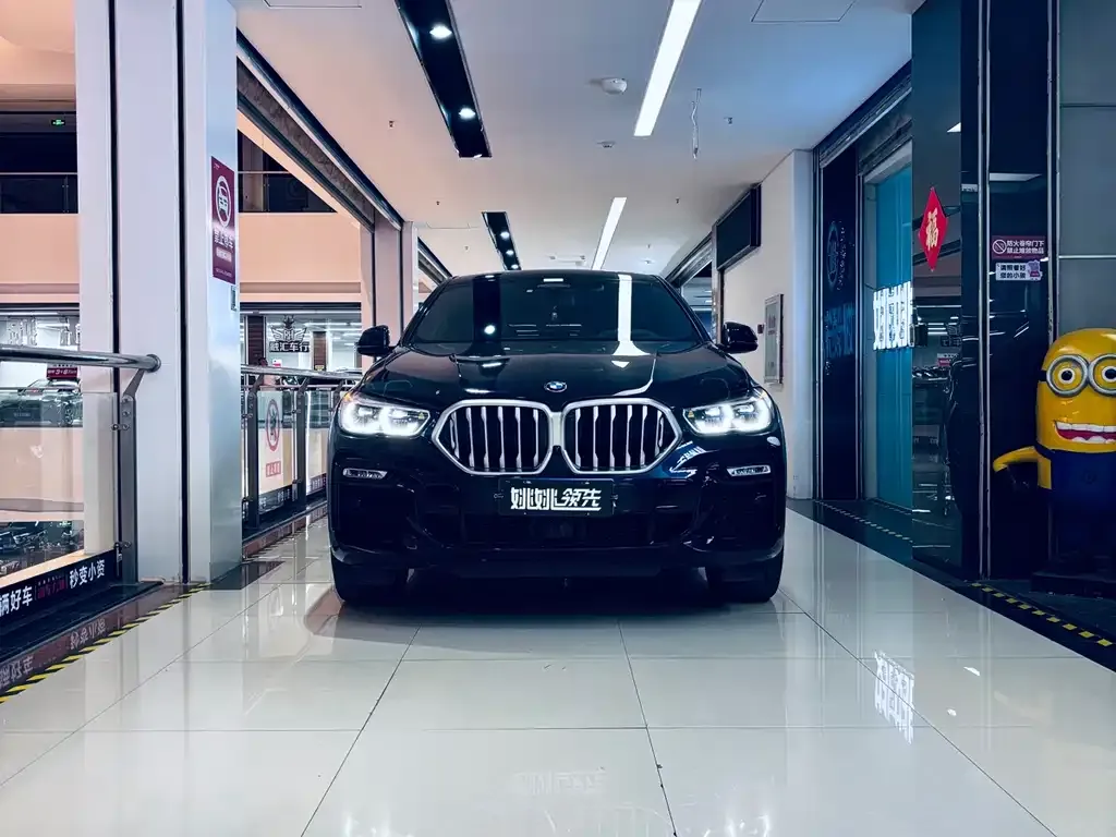 BMW X6 2022 из CN, фото 2