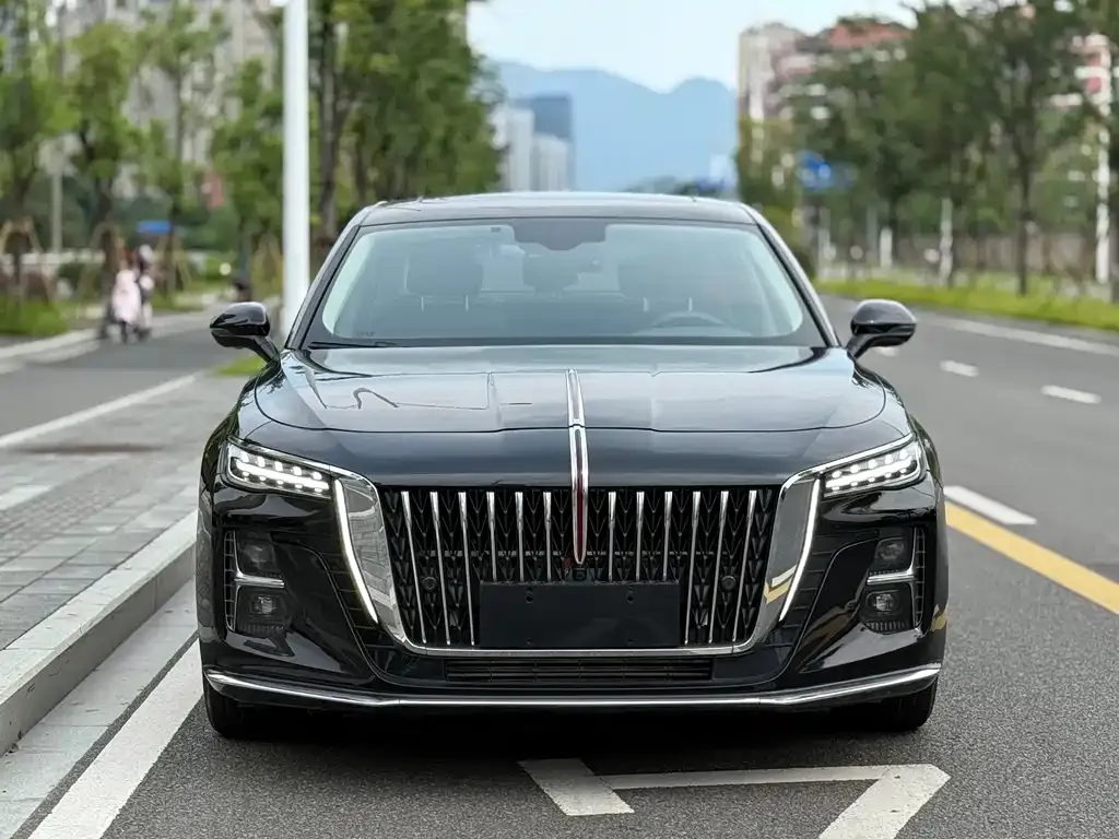Hongqi H5 2024 из CN, фото 2