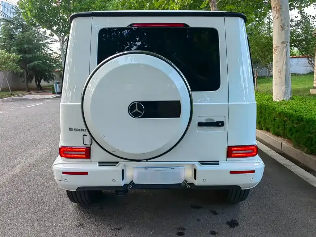 Mercedes-Benz G-Class 2022 из CN, фото 5