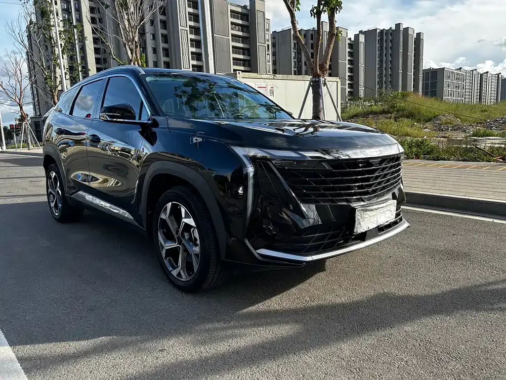 [object Object] Boyue L 2025 из CN, фото 3