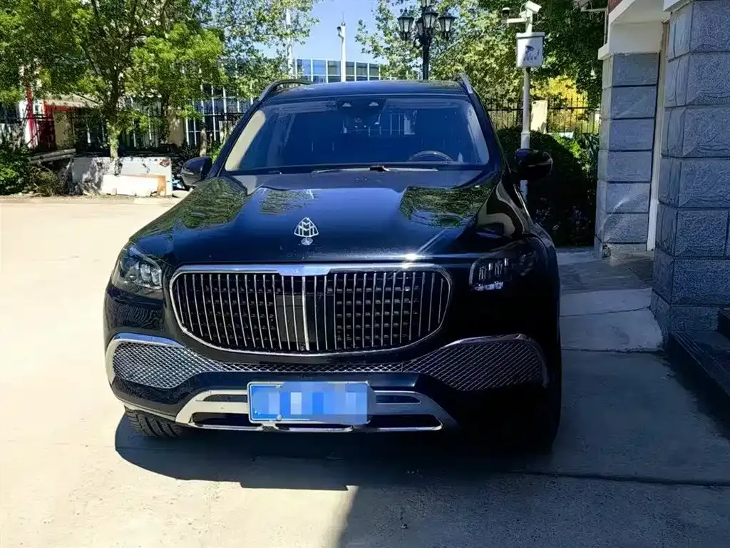 Mercedes-Benz GLS 2021 из CN, фото 3
