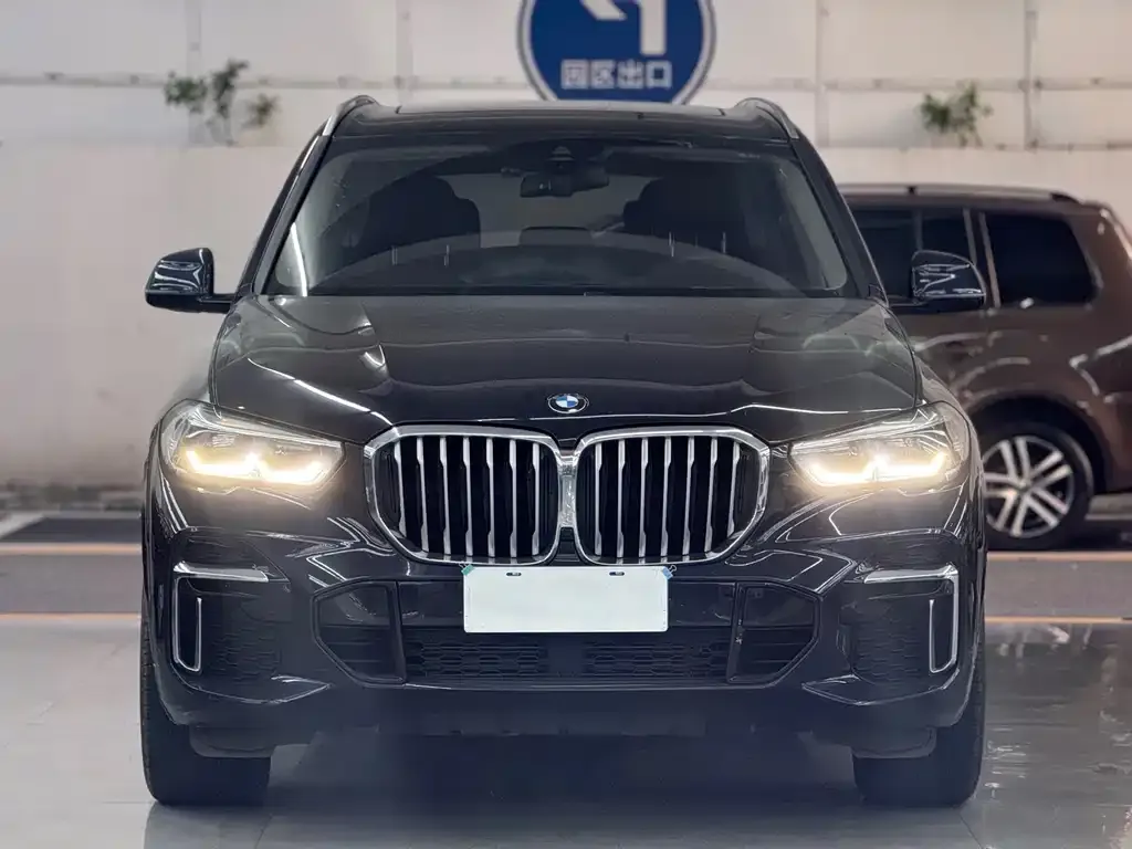 BMW X5 2023 из CN, фото 2