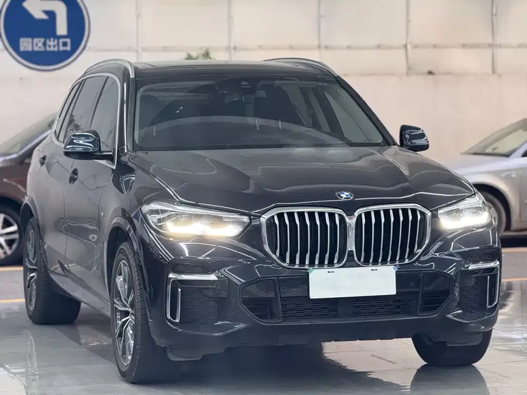 BMW X5 2023 из CN, фото 3