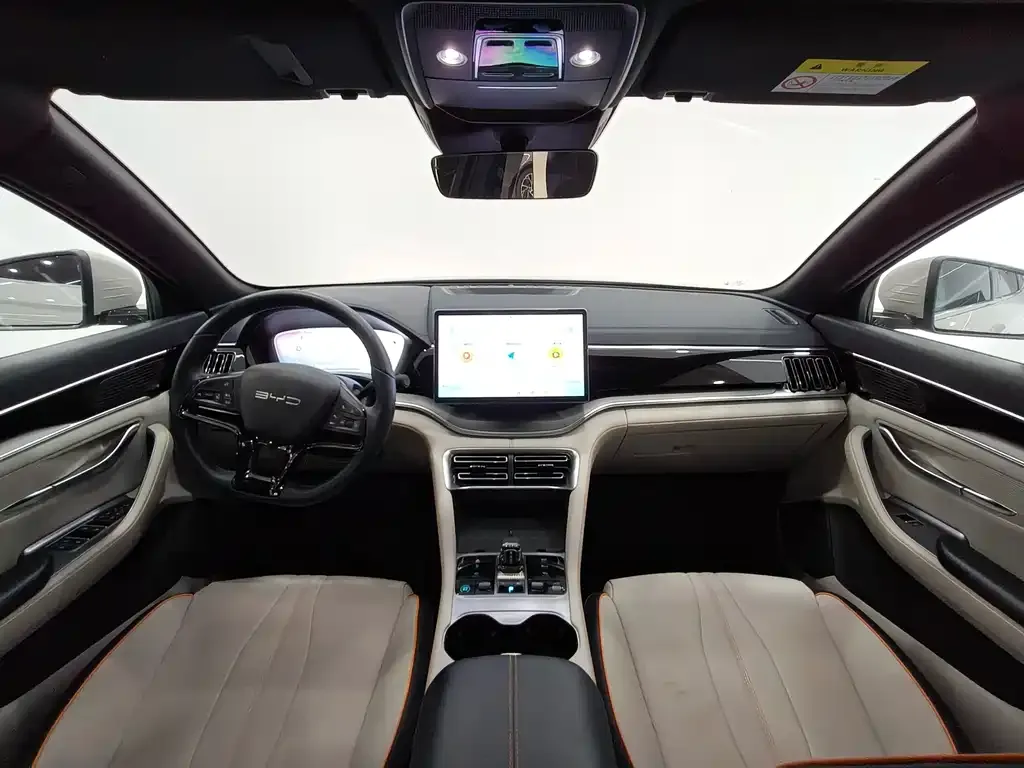 BYD PLUS New Energy — фото 4