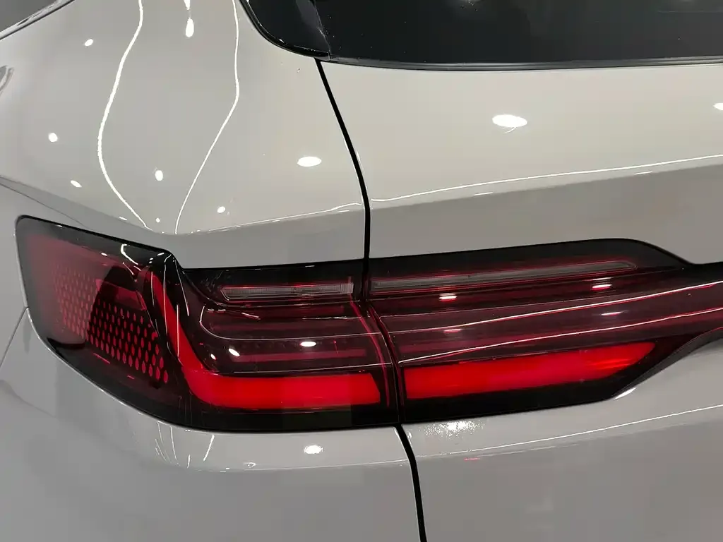 BYD PLUS New Energy — фото 8