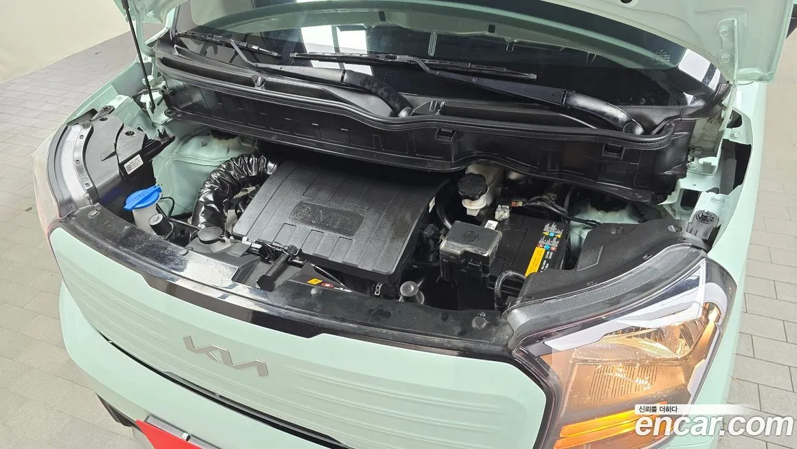 [object Object] RAY 2025 из KR, фото 6