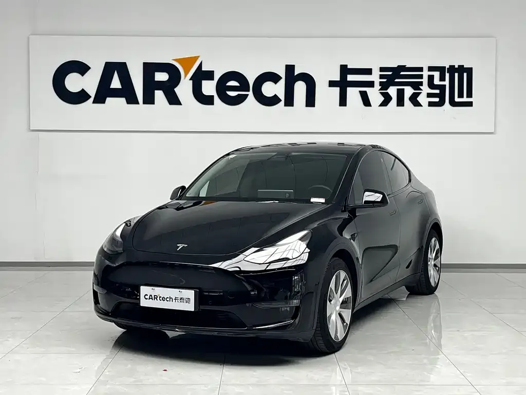Tesla Model Y 2021 из CN, фото 1