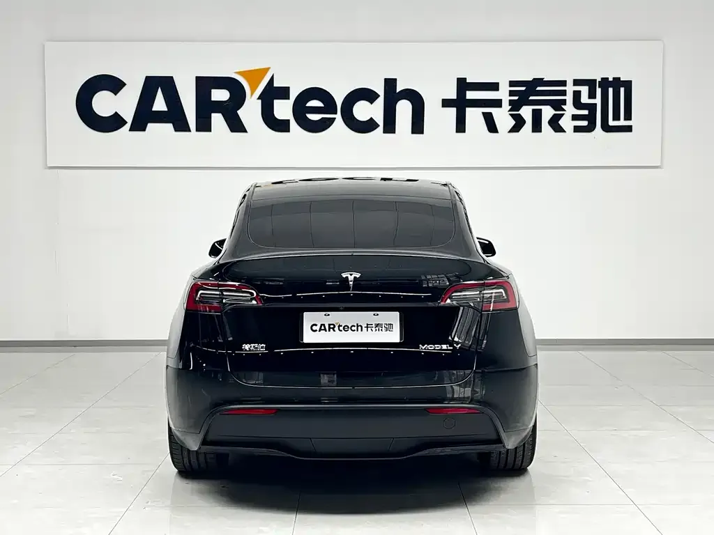 Tesla Model Y 2021 из CN, фото 2