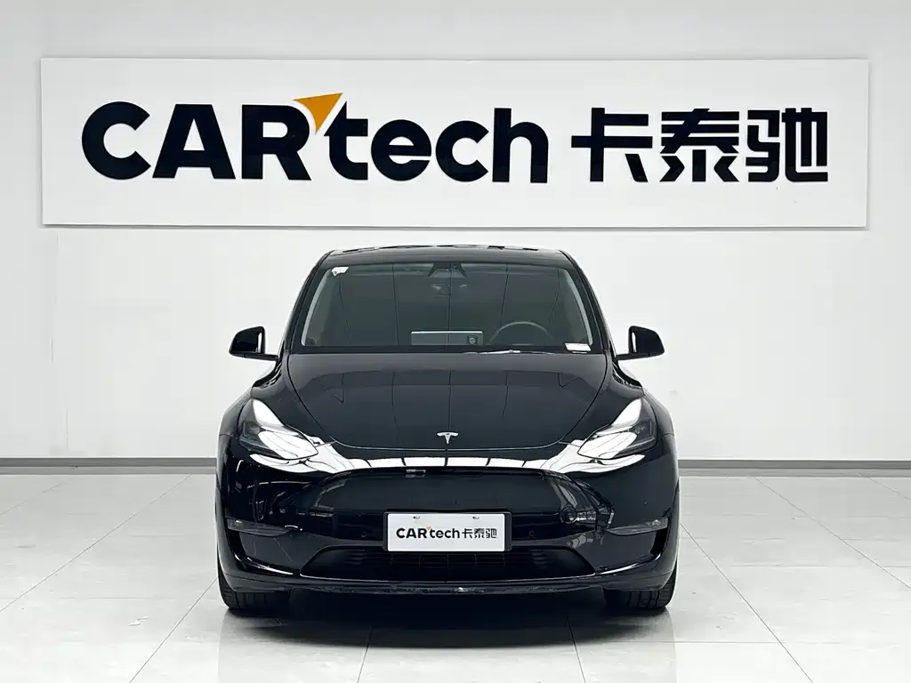 Tesla Model Y 2021 из CN, фото 3