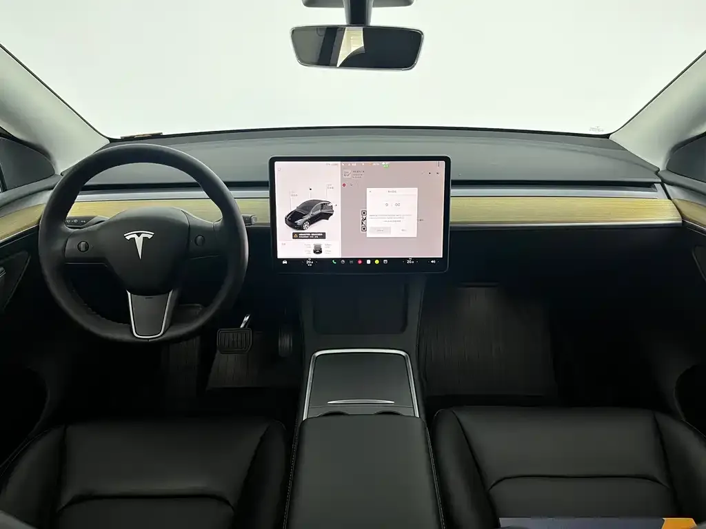 Tesla Model Y 2021 из CN, фото 7