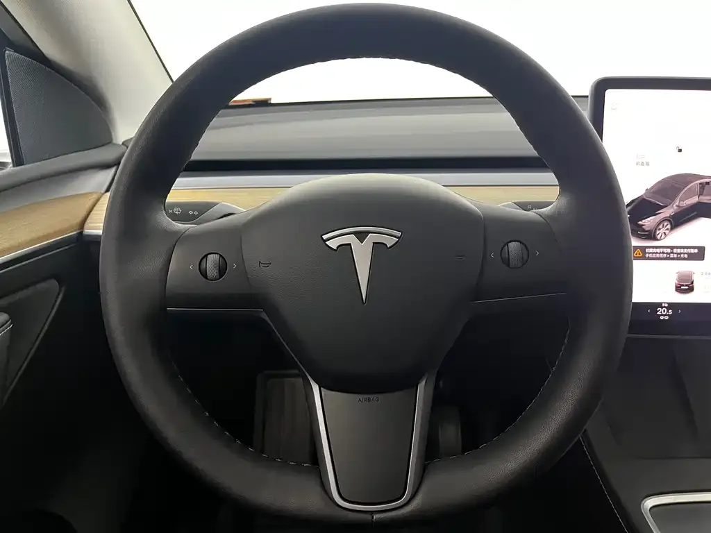 Tesla Model Y 2021 из CN, фото 8