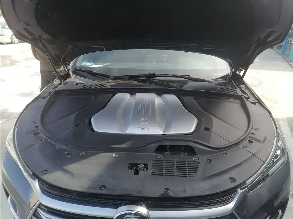BYD Tang New Energy 2022 из CN, фото 10