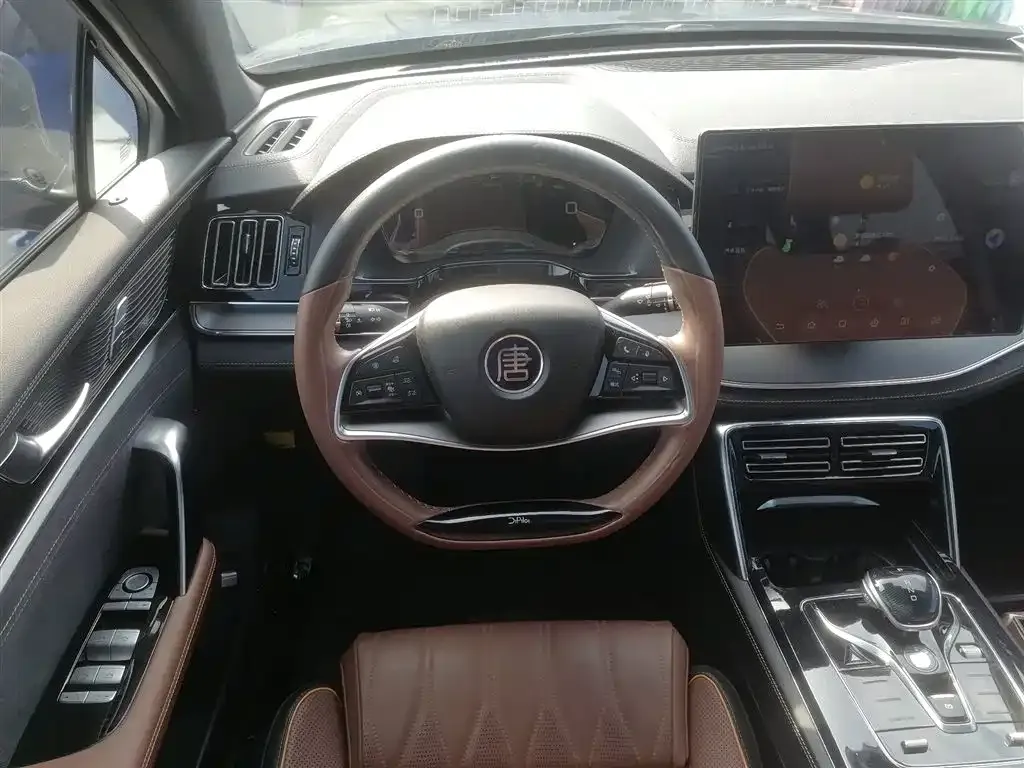 BYD Tang New Energy 2022 из CN, фото 3