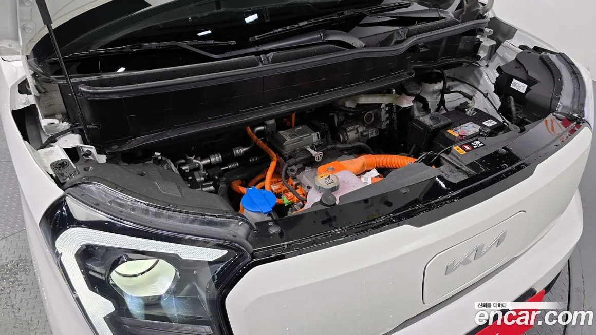 [object Object] RAY 2024 из KR, фото 6