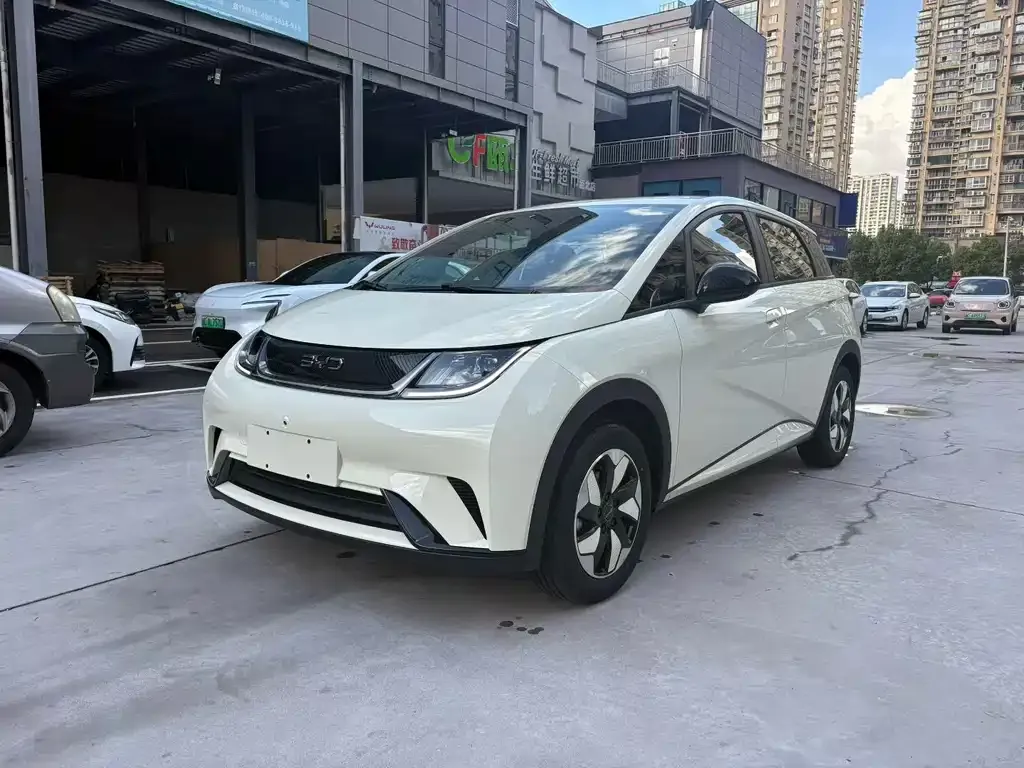 BYD Dolphin 2025 из CN, фото 1