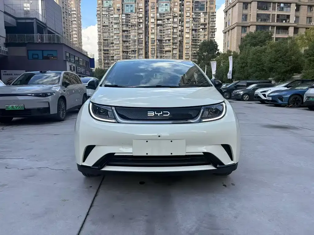 BYD Dolphin 2025 из CN, фото 2