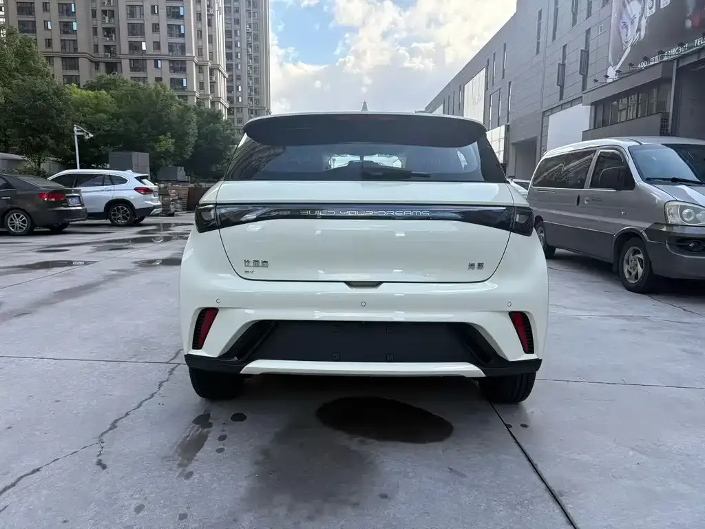 BYD Dolphin 2025 из CN, фото 8
