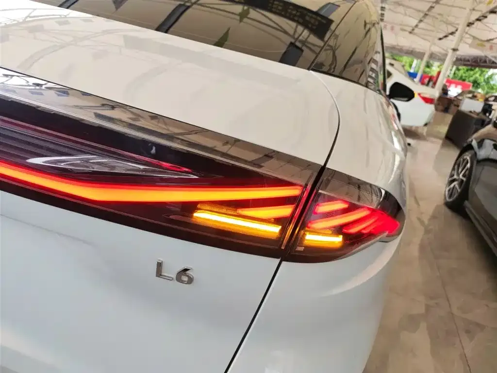 Galaxy L6 2023 из CN, фото 8