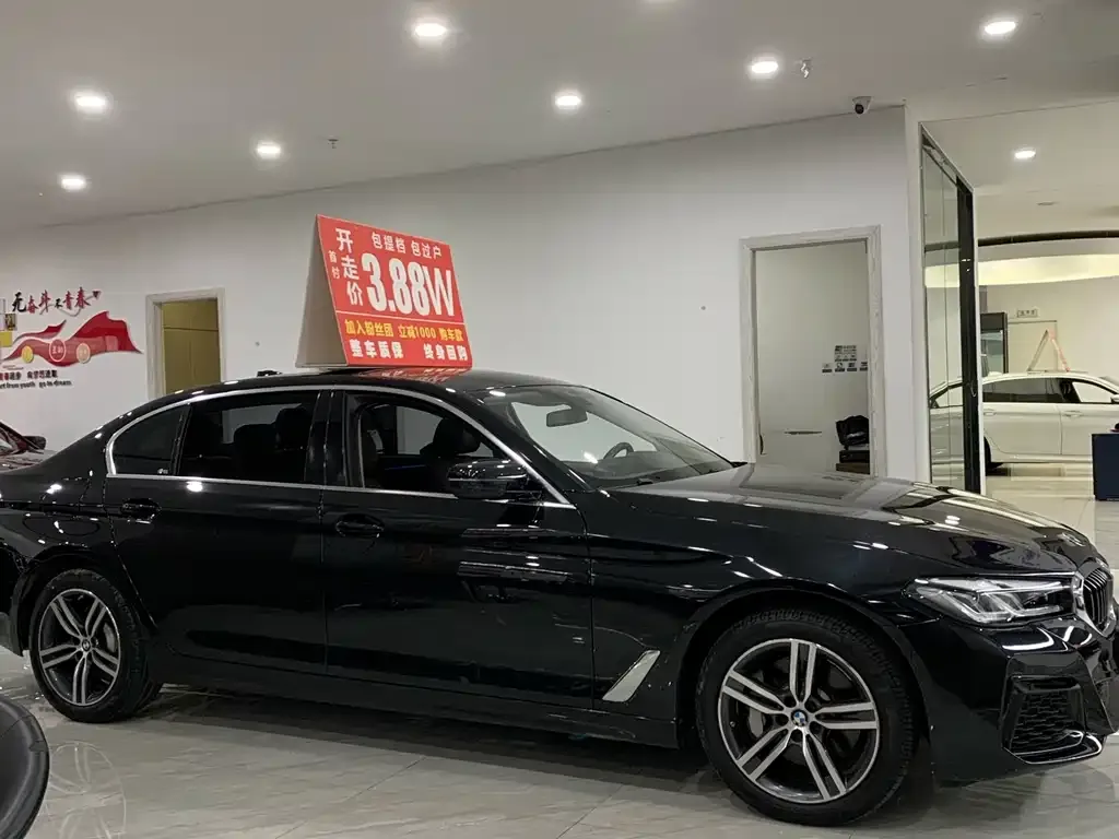 BMW 5 Series 2023 из CN, фото 5