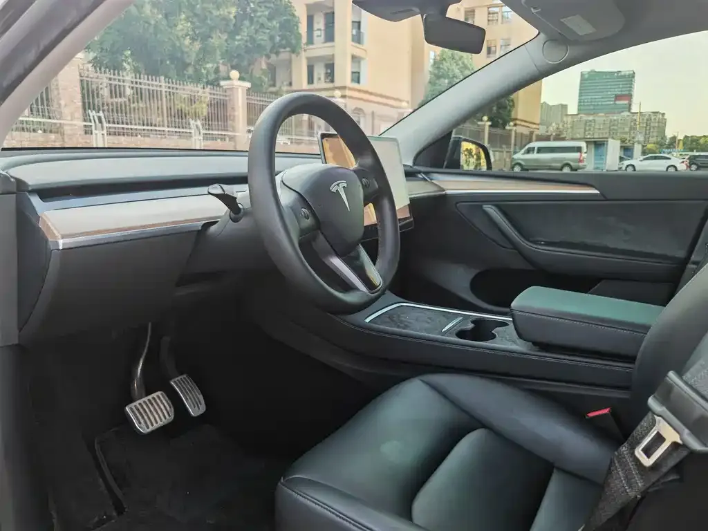 Tesla Model Y — фото 10