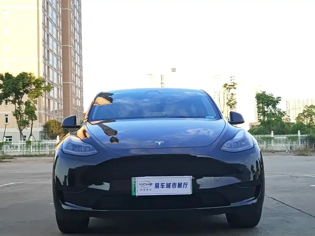 Tesla Model Y — фото 2