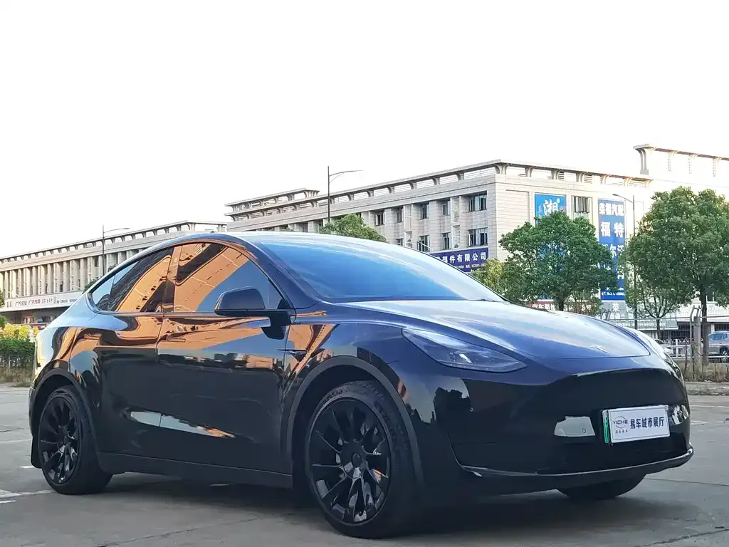 Tesla Model Y — фото 3