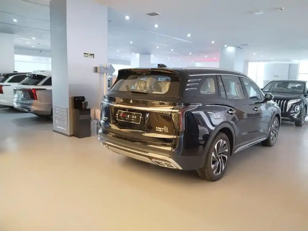 Hongqi HS7 PHEV 2025 из CN, фото 8