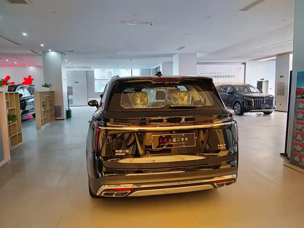 Hongqi HS7 PHEV 2025 из CN, фото 9