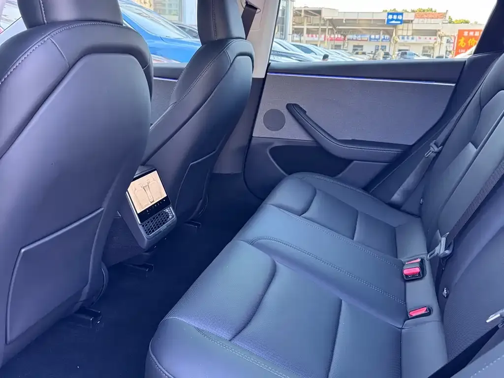 Tesla Model 3 2025 из CN, фото 7