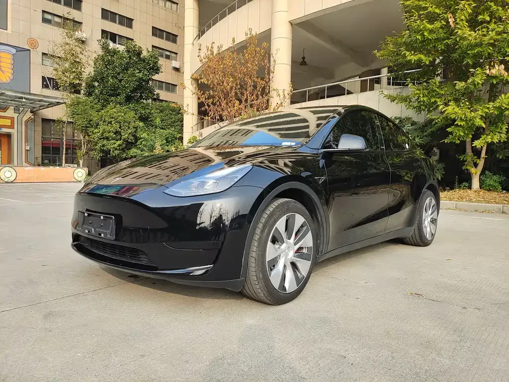 Tesla Model Y — фото 1