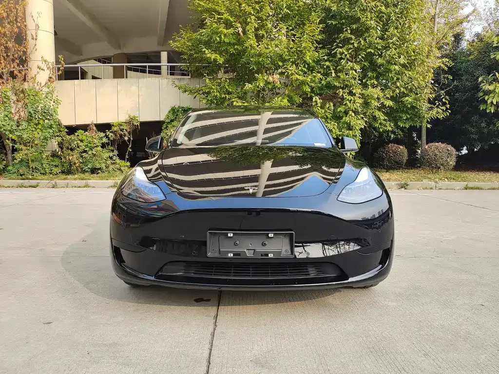 Tesla Model Y — фото 2