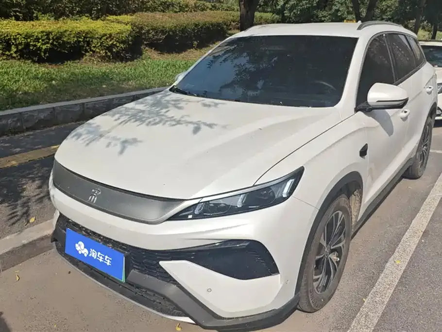 BYD Pro New Energy 2025 из CN, фото 1